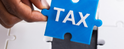 2025 tax season
